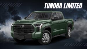 Tundra Limited