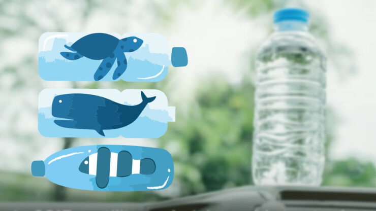 environmental impact of the plastic bottles