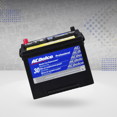 Ac Delco 24RPS Battery